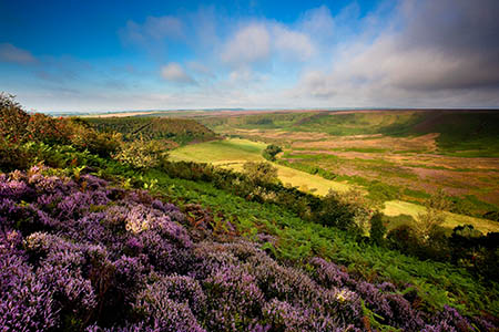 picture of north yorkshire moors